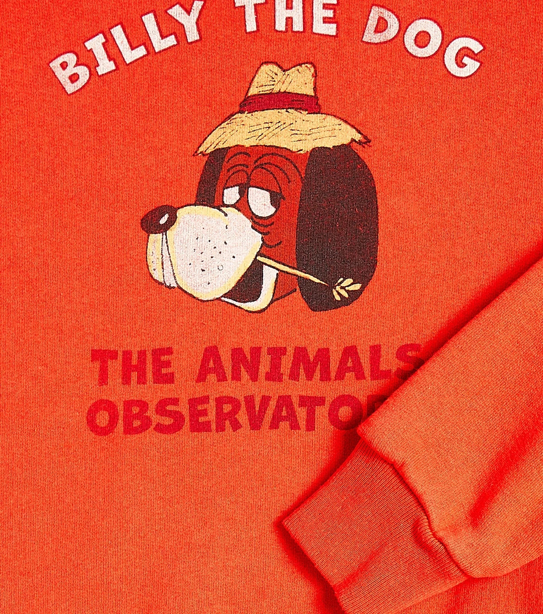 The Animals Observatory - Bear cotton jersey sweatshirt