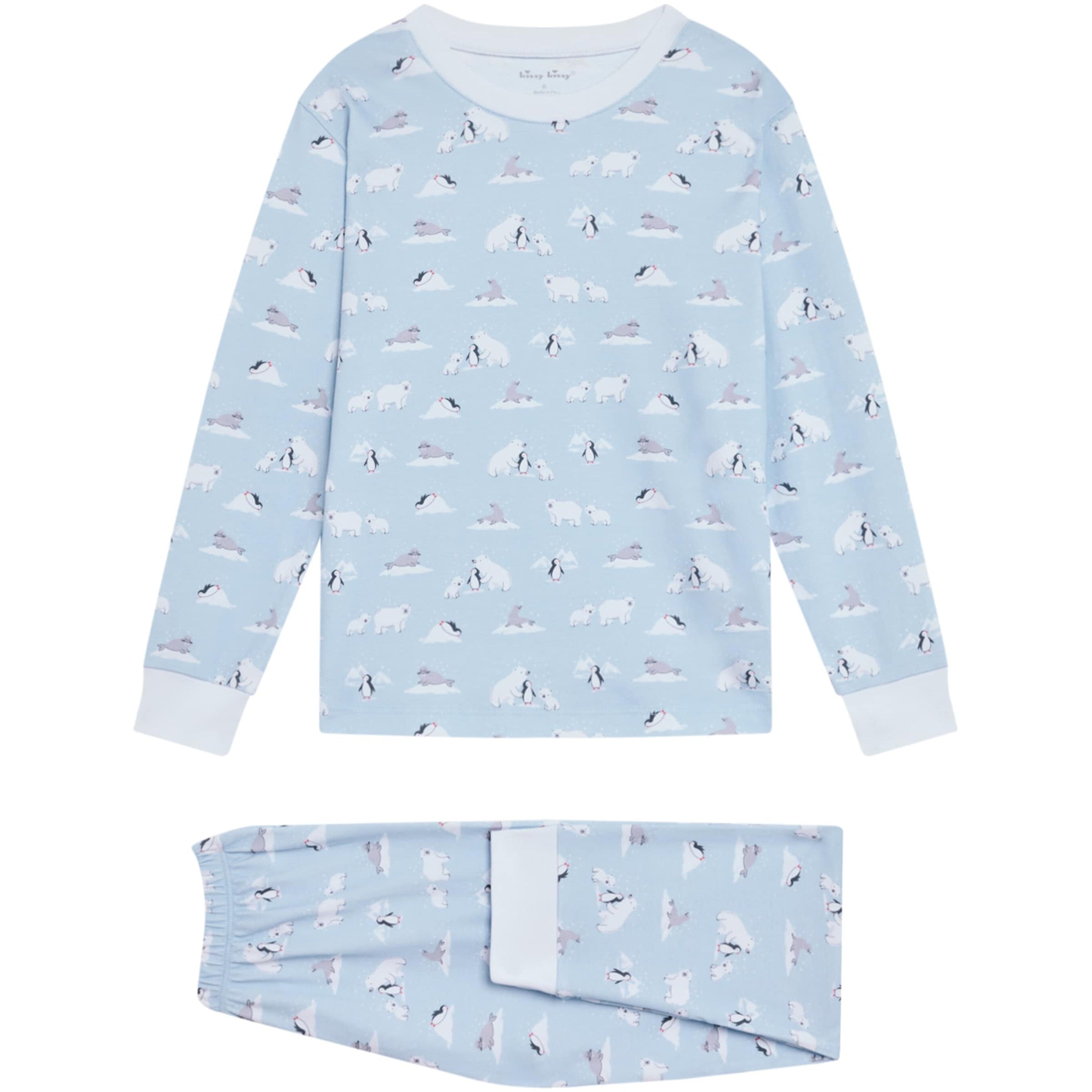 Arctic Awe Pyjama Set (2-6 Years)