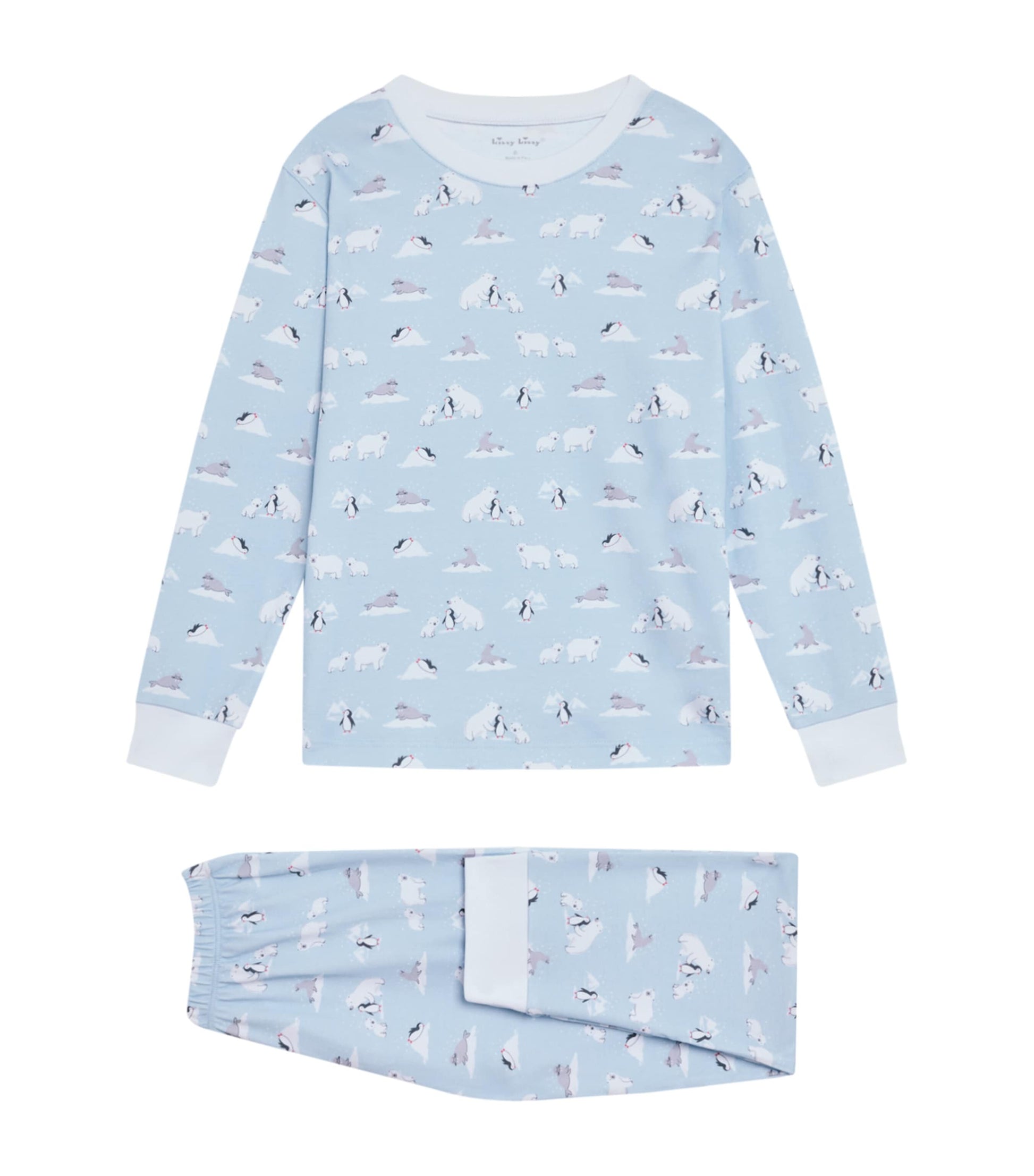 Arctic Awe Pyjama Set (2-6 Years)