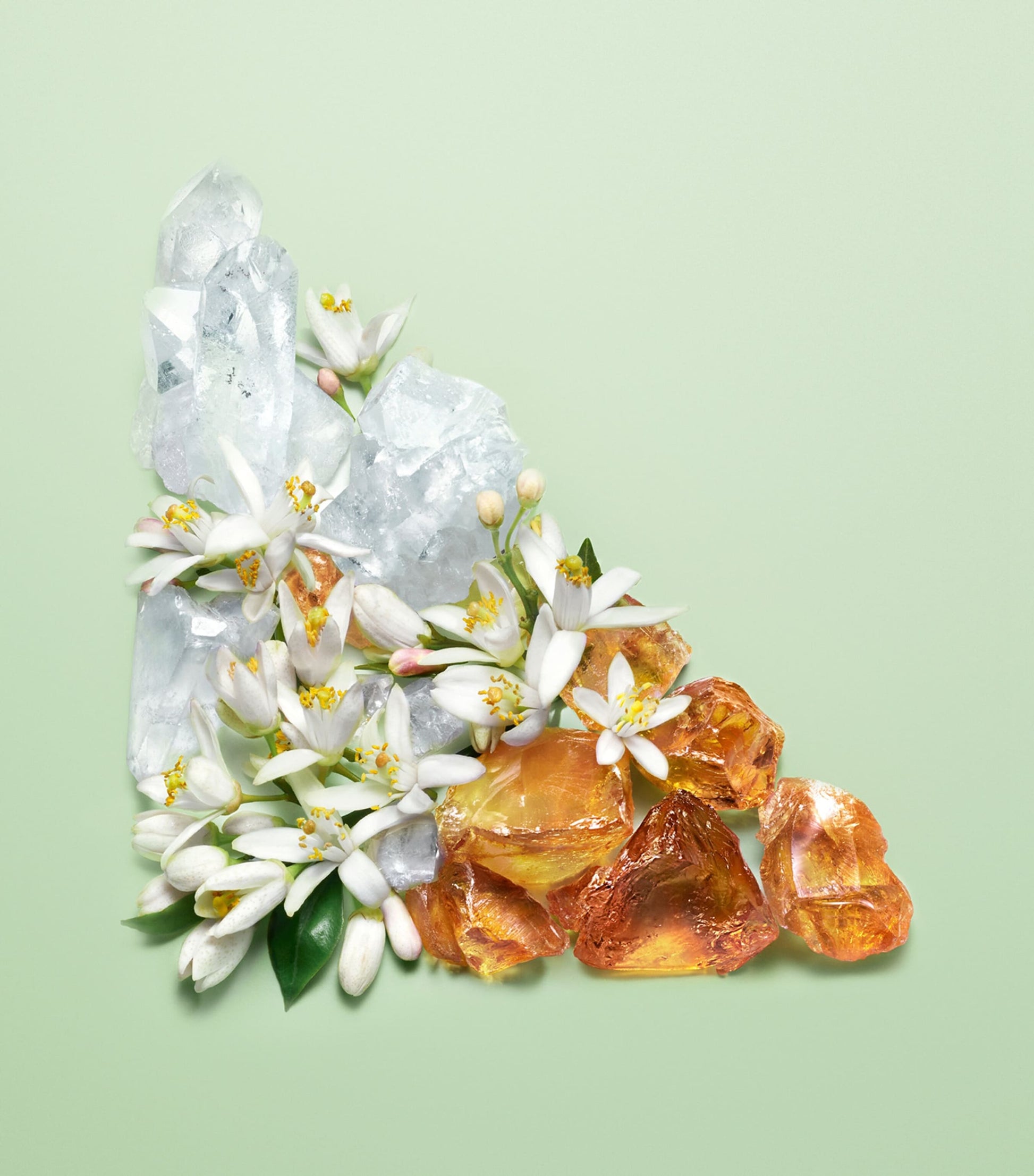 Paradoxe Eau de Parfum Refill (100ml)