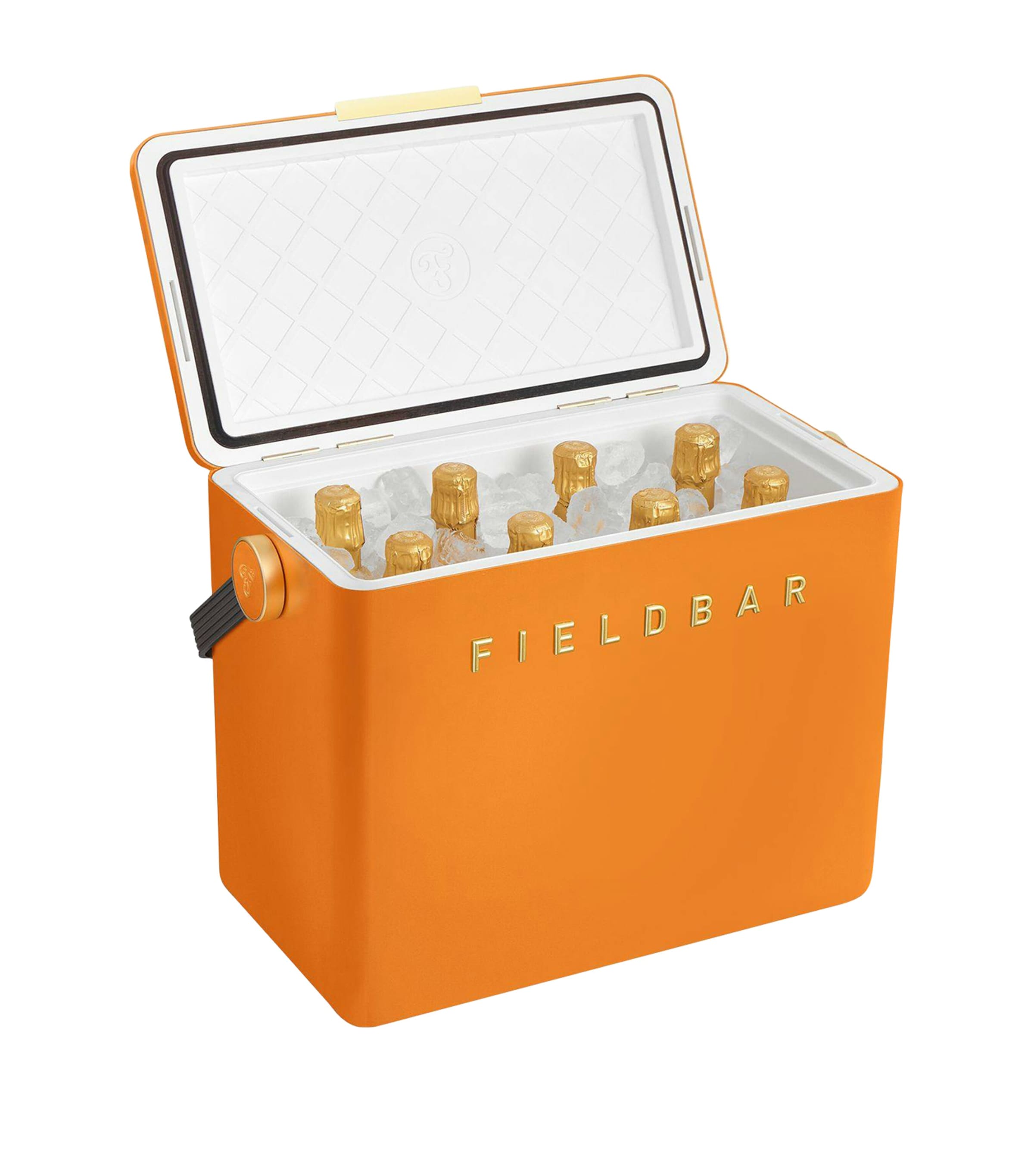 Gin Trunk Cooler Box