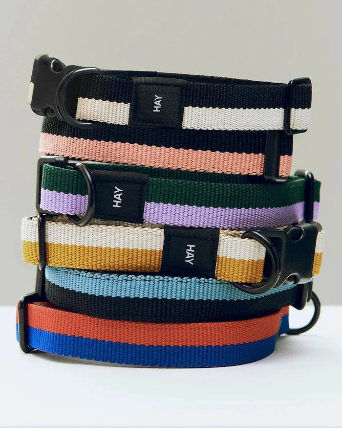 Köpek tasması HAY S/M 2 x 25-45 cm