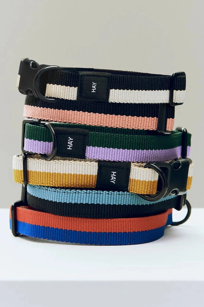 Köpek tasması HAY S/M 2 x 25-45 cm