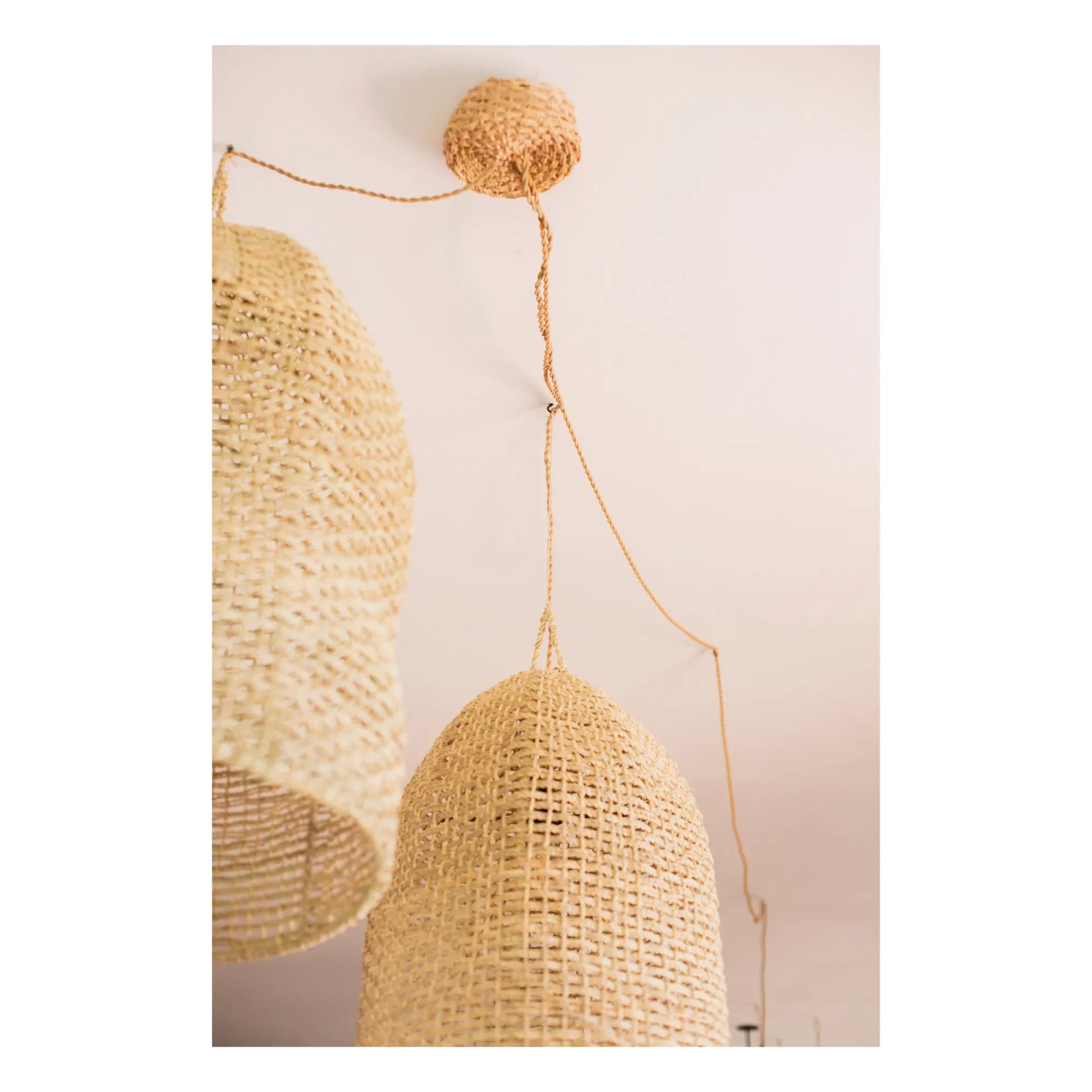 Cosydar - Light Fixture & Palm Leaf Ceiling Canopy