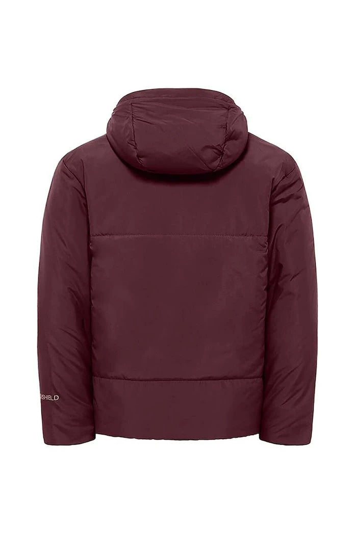 Детско зимно яке Jack Wolfskin