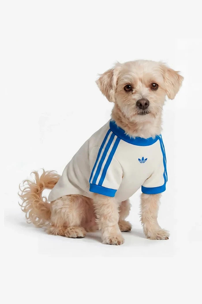 adidas Originals Evcil Hayvan Pet Cali