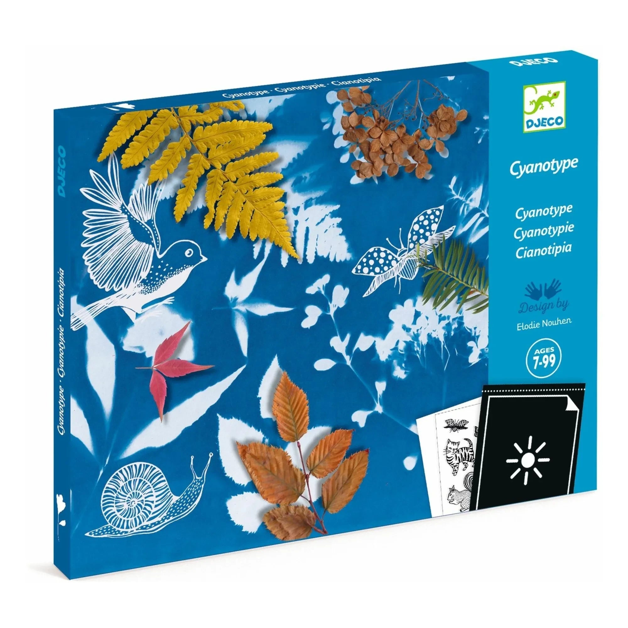 Djeco - My first Cyanotype kit