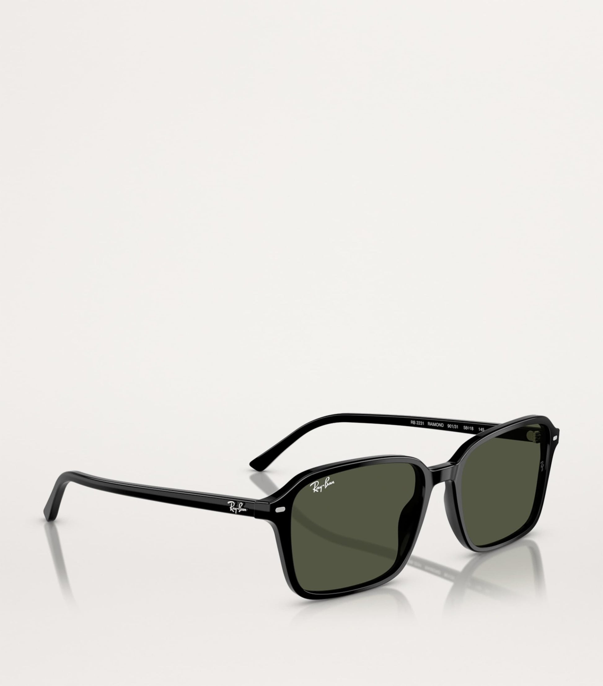 Ray-Ban Black RB2231 Raimond Sunglasses