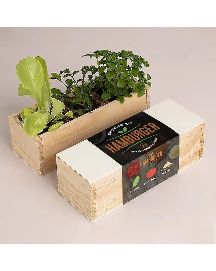Комплект за отглеждане на растения RESETEA Hamburger Growing Kit 21 x 7,8 x 6,5 cm