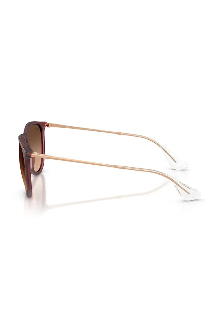 Ray-Ban Güneş Gözlüğü