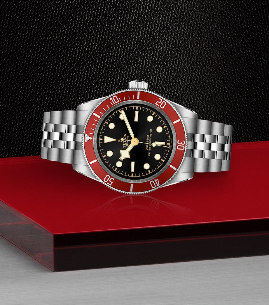 TUDOR Stainless Steel Black Bay Watch 41mm