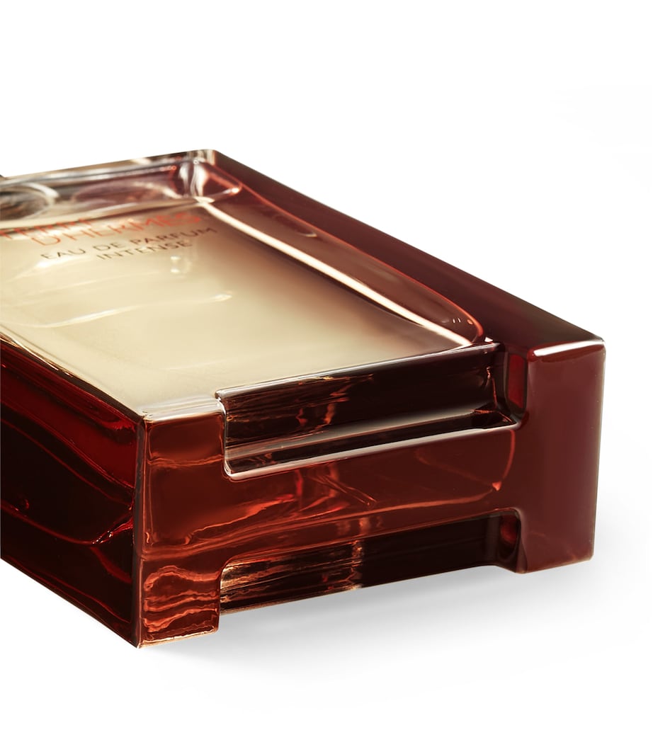 HERMÈS Terre d’Hermès Eau de Parfum Intense (50ml)