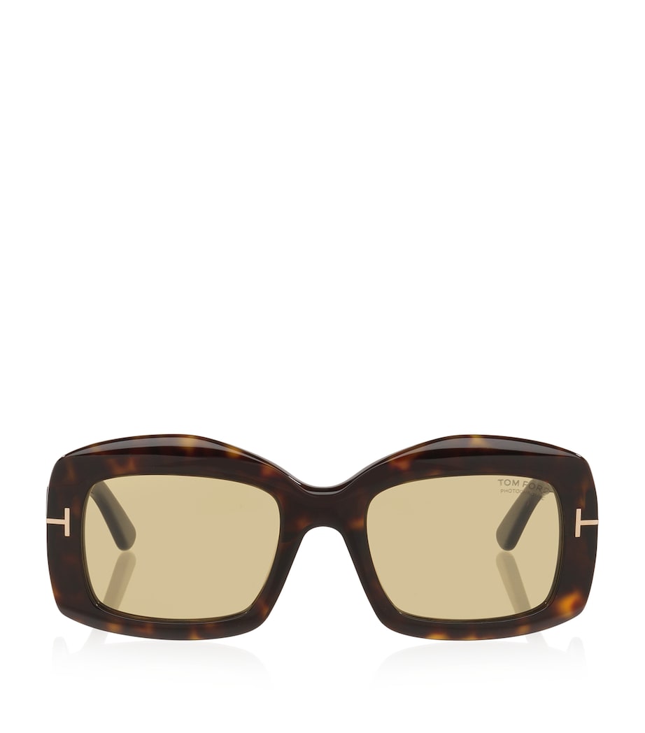 Brown Acetate Venetia Sunglasses