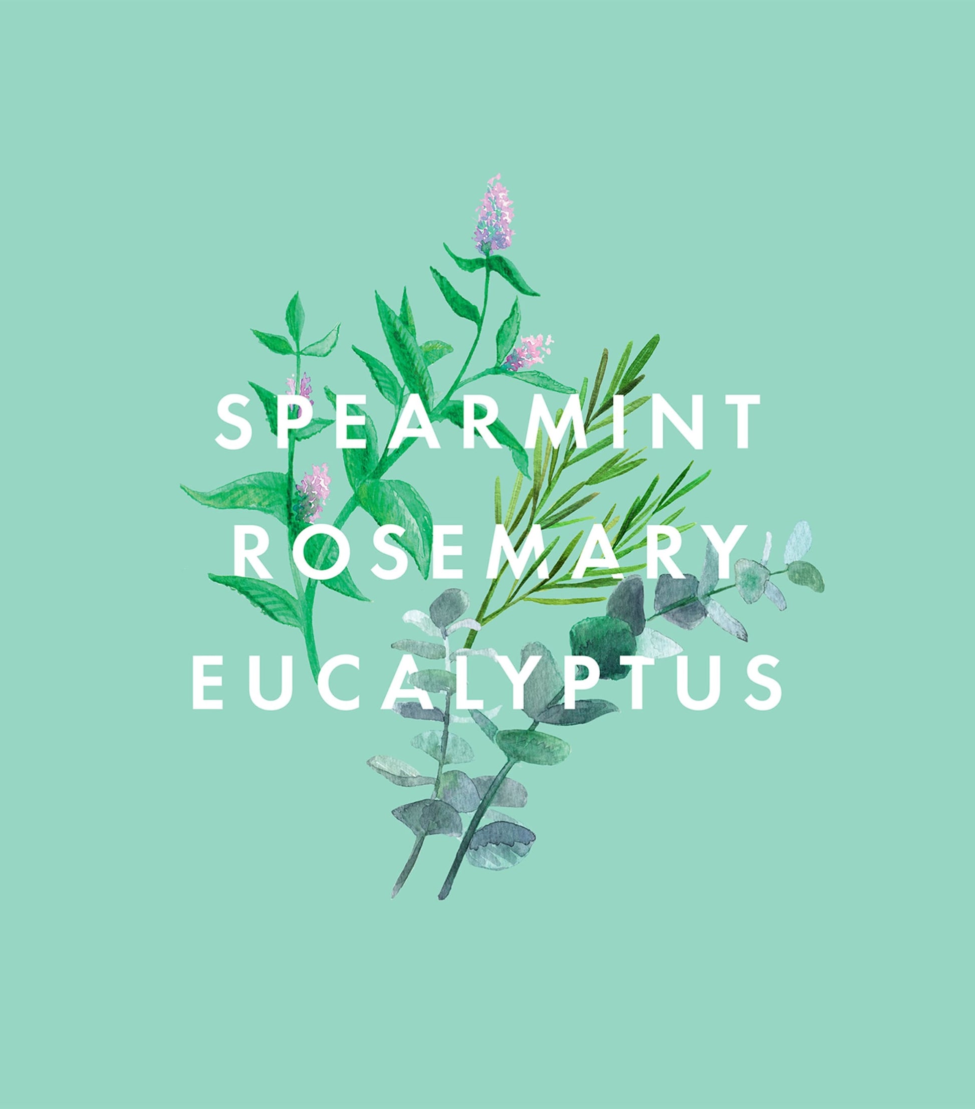 Super Shower Power Body Cleanser (500ml)