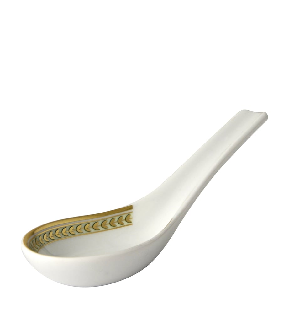 Constance Chinese Spoon