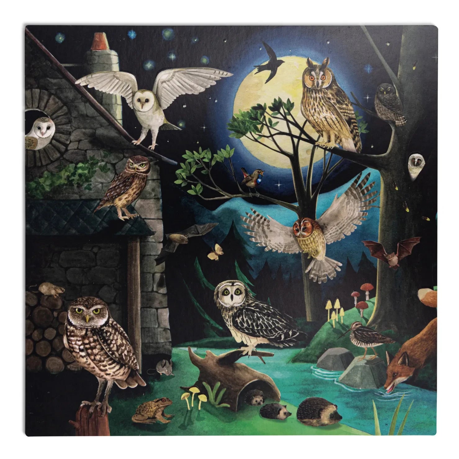 Moulin Roty - Discovery Set: Birds