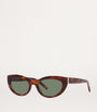 Brown Acetate 0YS000461 Sunglasses