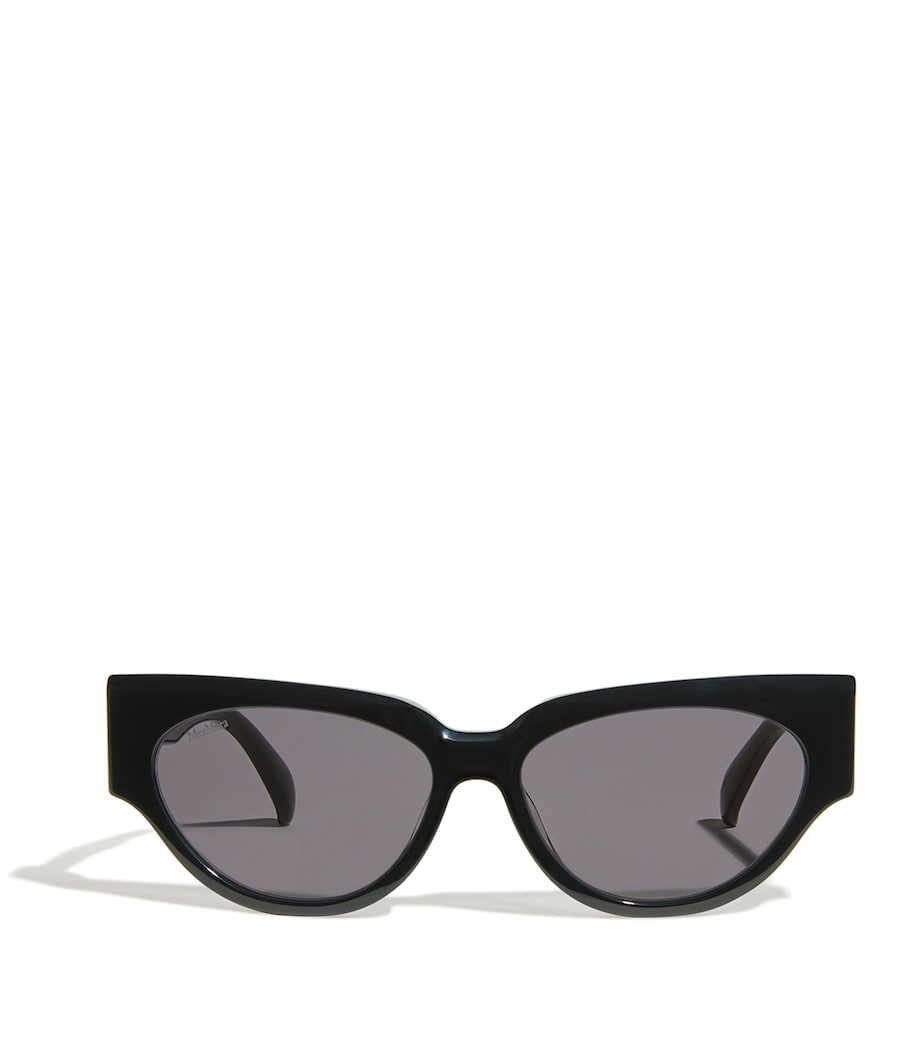 Max Mara Black Acetate Oval CLIP1 Sunglasses