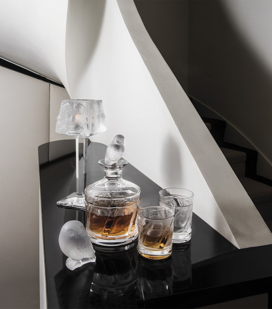 Owl Whisky Tumbler (200ml)