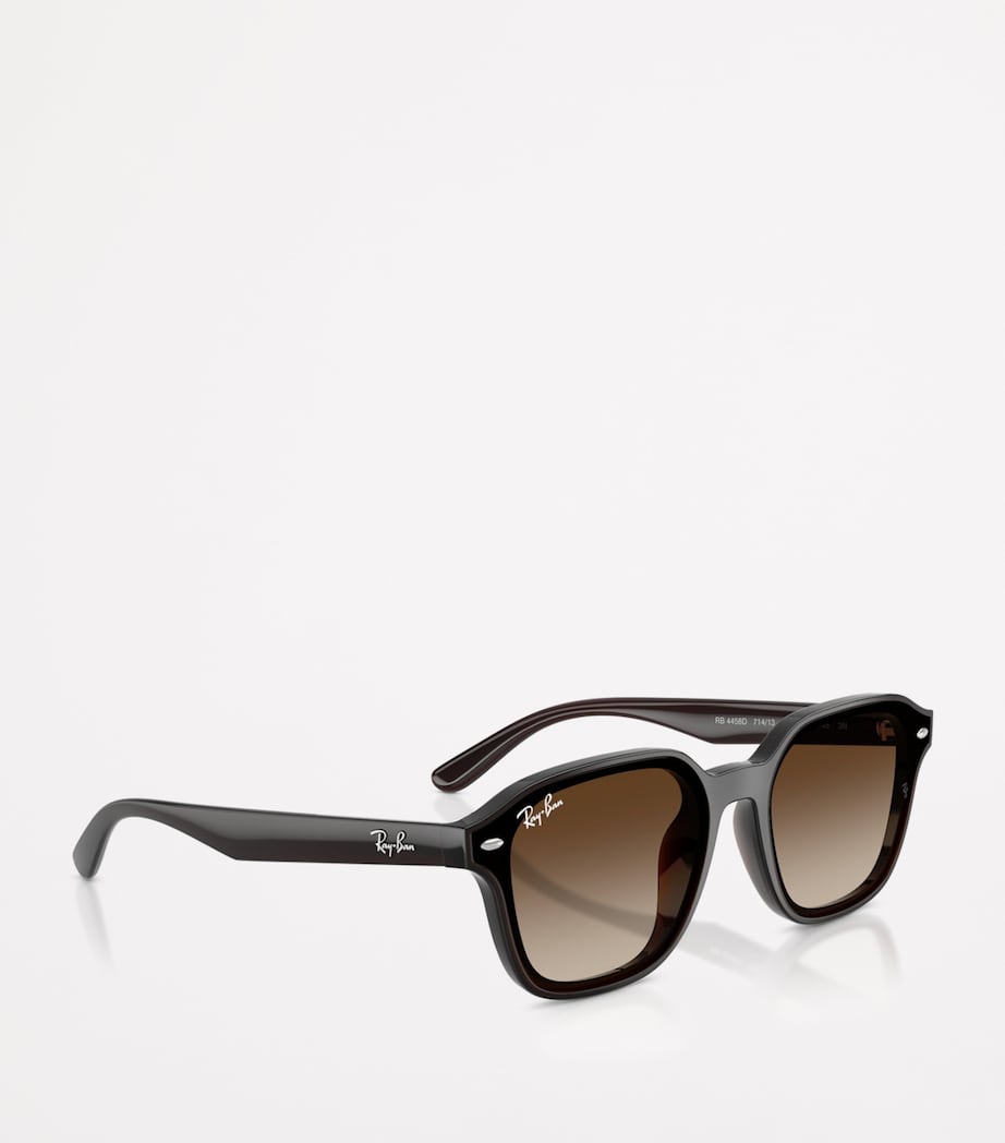 Ray-Ban Brown RB4458D Square Sunglasses