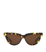 Brown Acetate 06J000421 Sunglasses