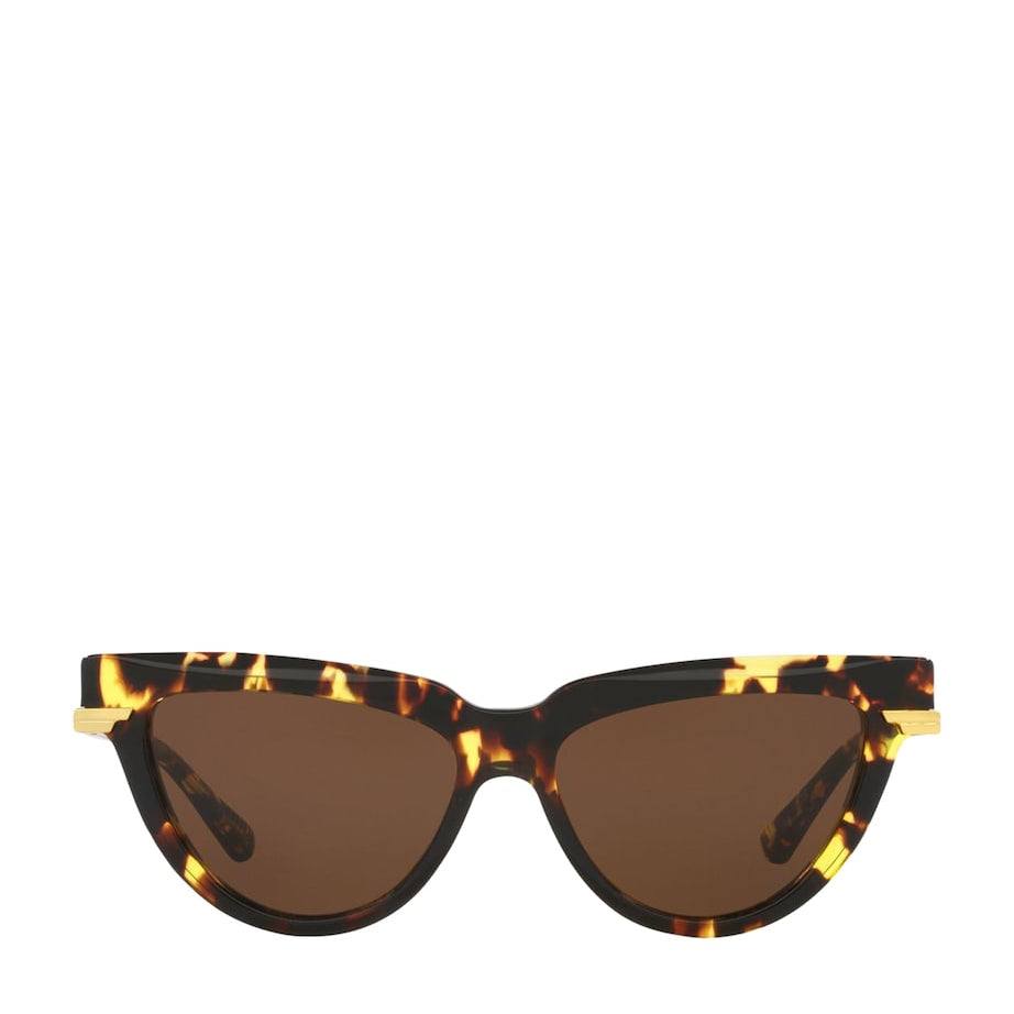 Brown Acetate 06J000421 Sunglasses