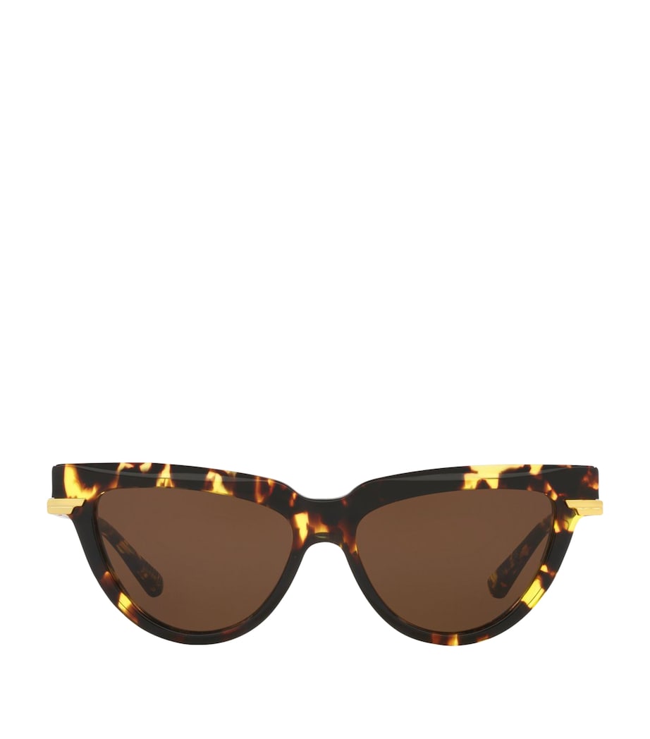 Brown Acetate 06J000421 Sunglasses