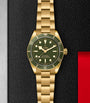 TUDOR Black Bay Yellow Gold Watch 39mm