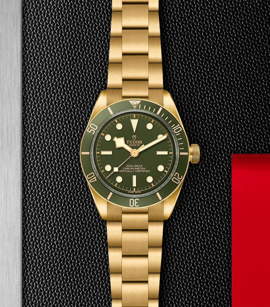 TUDOR Black Bay Yellow Gold Watch 39mm
