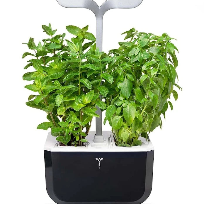 Veritable Exky Smart Otonom Ev Bahçesi 20 × 18 cm