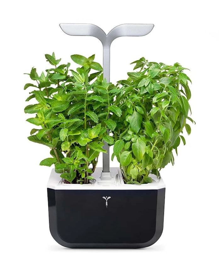 Veritable Exky Smart Otonom Ev Bahçesi 20 × 18 cm