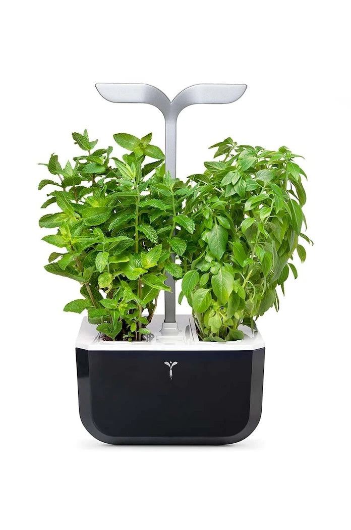 Veritable Exky Smart Otonom Ev Bahçesi 20 × 18 cm