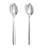 Stainless Steel Teaspoons (Set of 2)