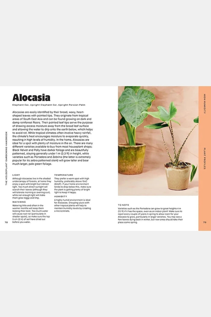 Houseplant Handbook by Maddie and Alice Bailey, English