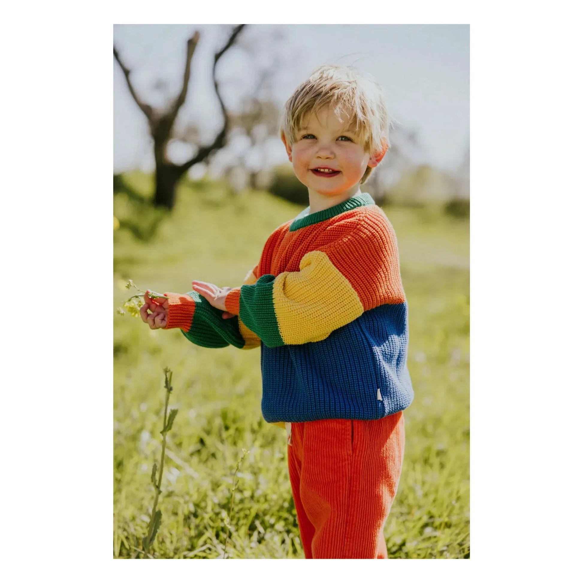 Yuki - Color Block Organic Cotton Sweater | Orange