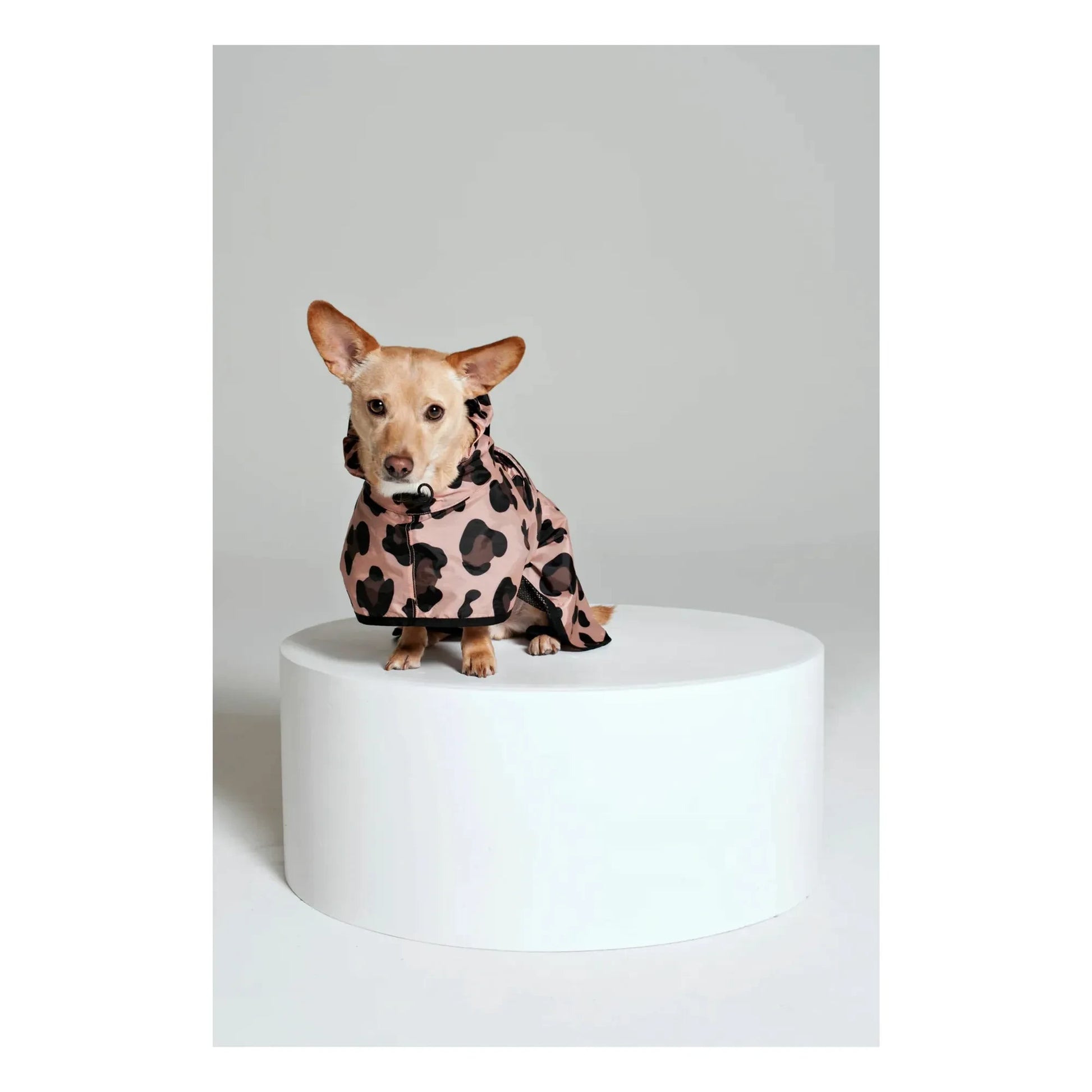 Rainkiss - Pink Panther Waterproof Dog Cape  | Pink