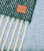 Blue Alpaca-Wool-Blend Jacquard Stripe Scarf