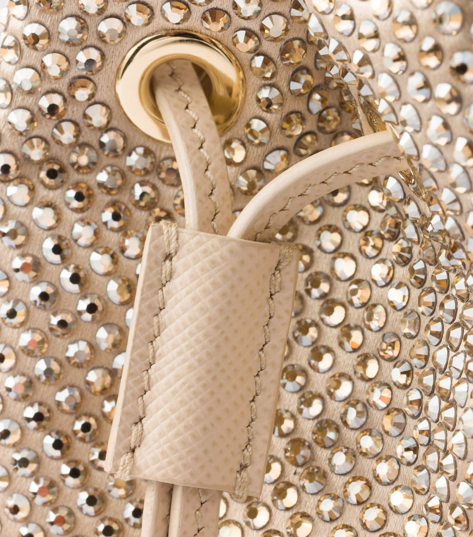 Mini Satin Crystal-Studded Pouch