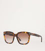 TOM FORD Brown Rounded Square Sunglasses