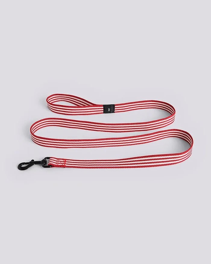HAY Köpek Tasması M/L