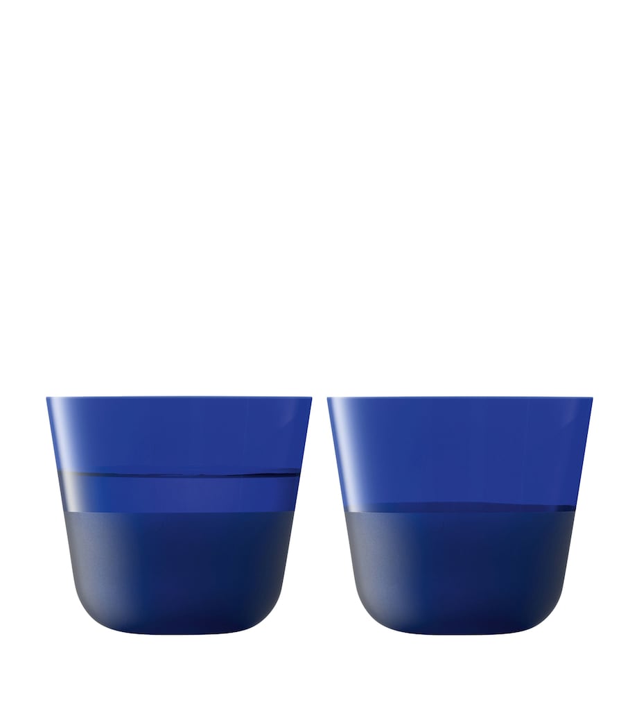 Set of 2 Arc Contrast Tumblers (260ml)