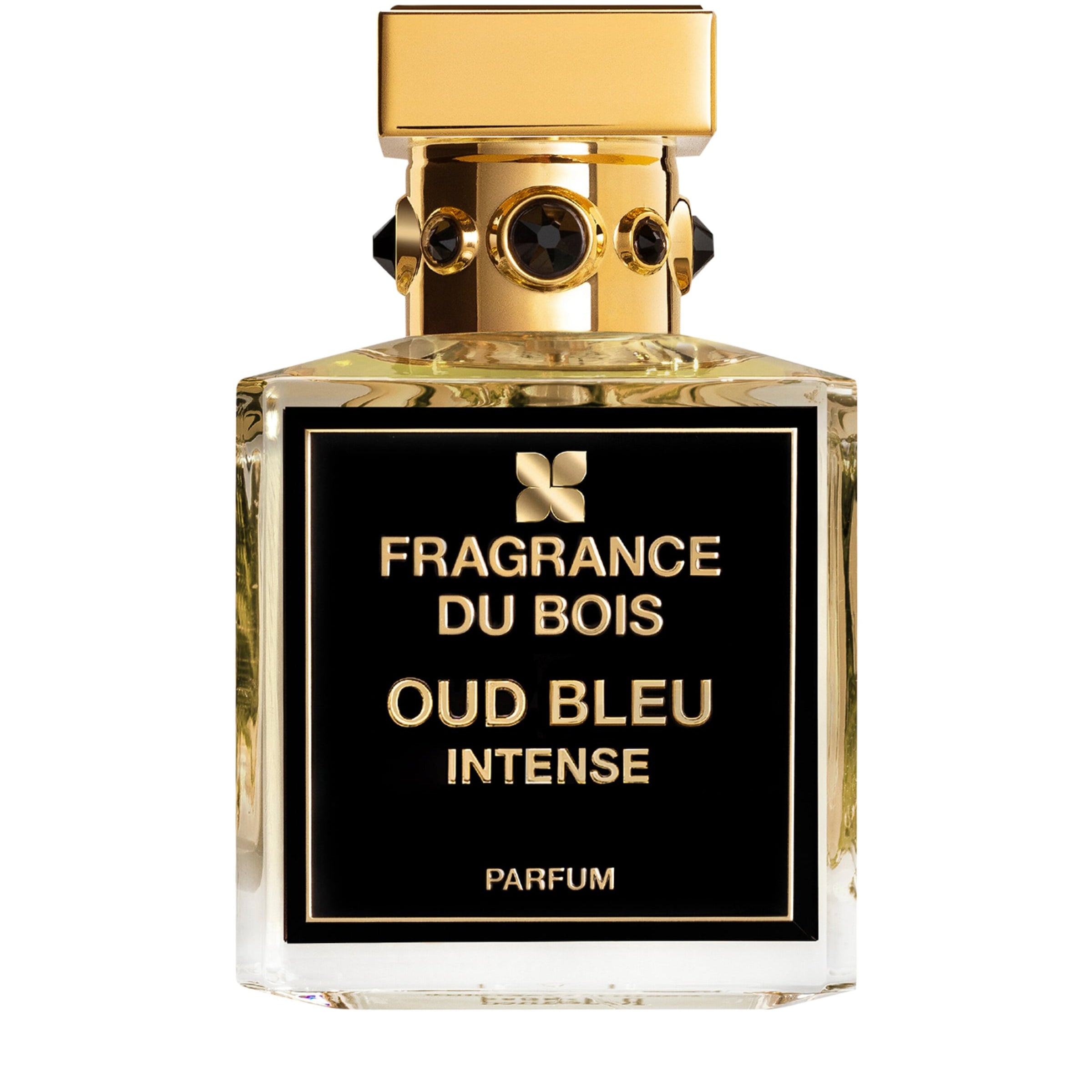 Oud Bleu Intense Parfum (100ml)