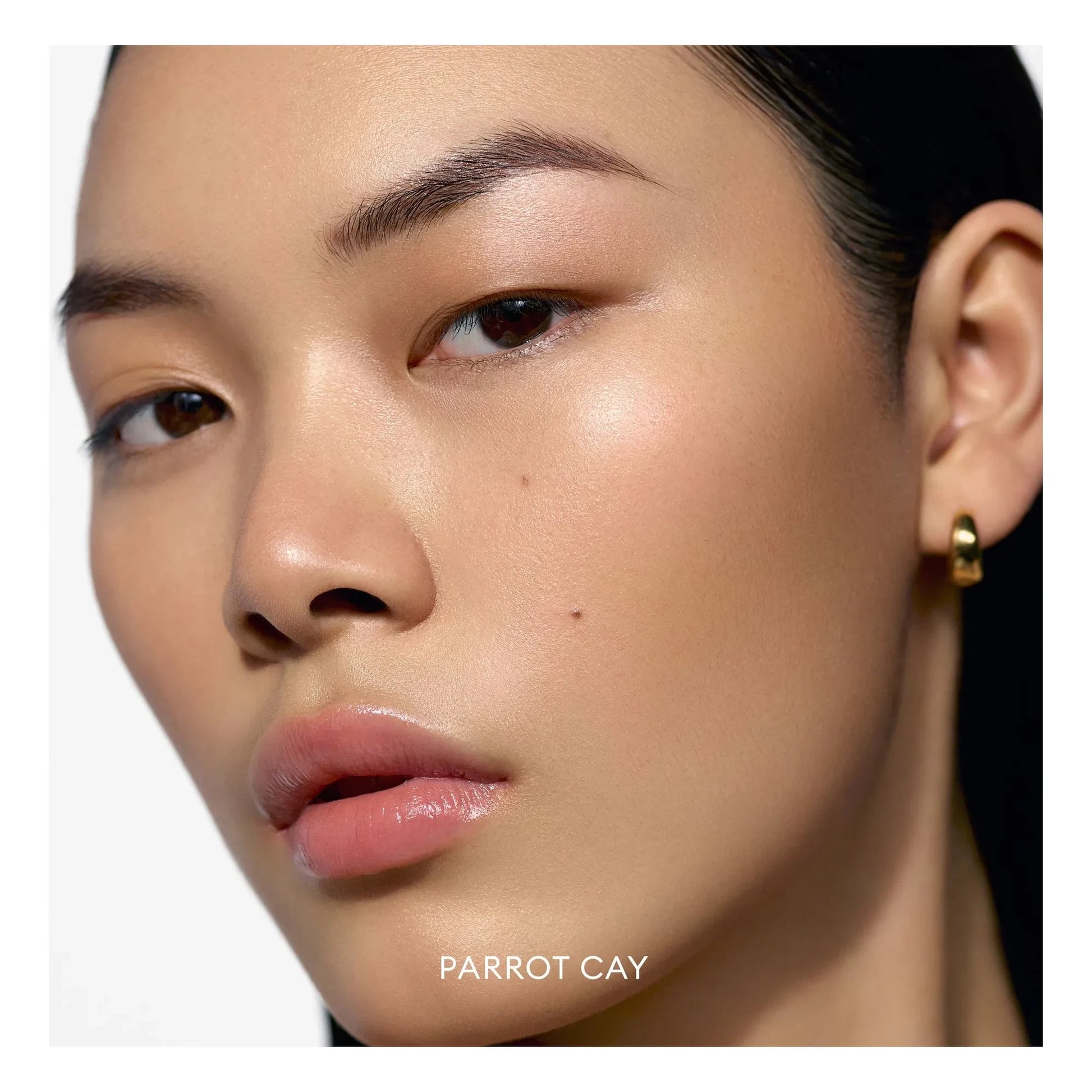 Rose Inc - Solar Infusion soft-focus bronzer | Parrot Cay