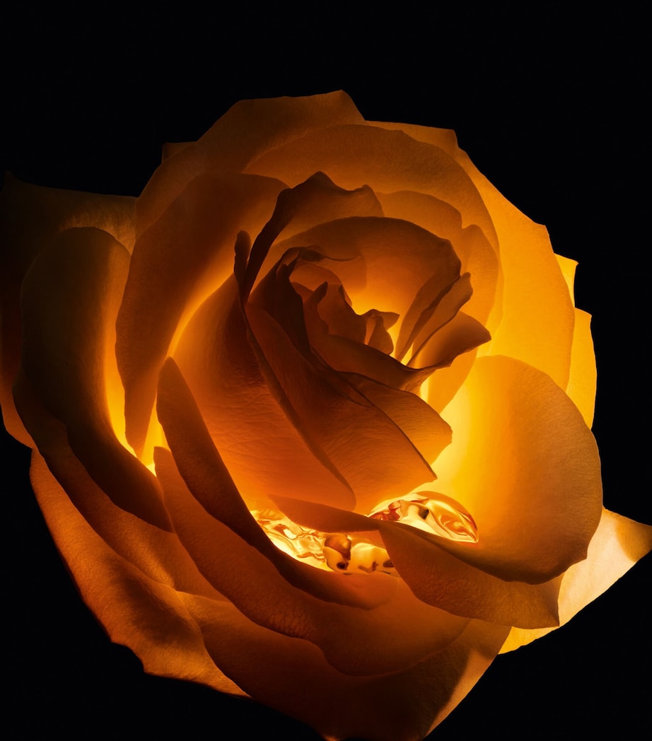 Dior Prestige Le Baume de Minuit (50ml)