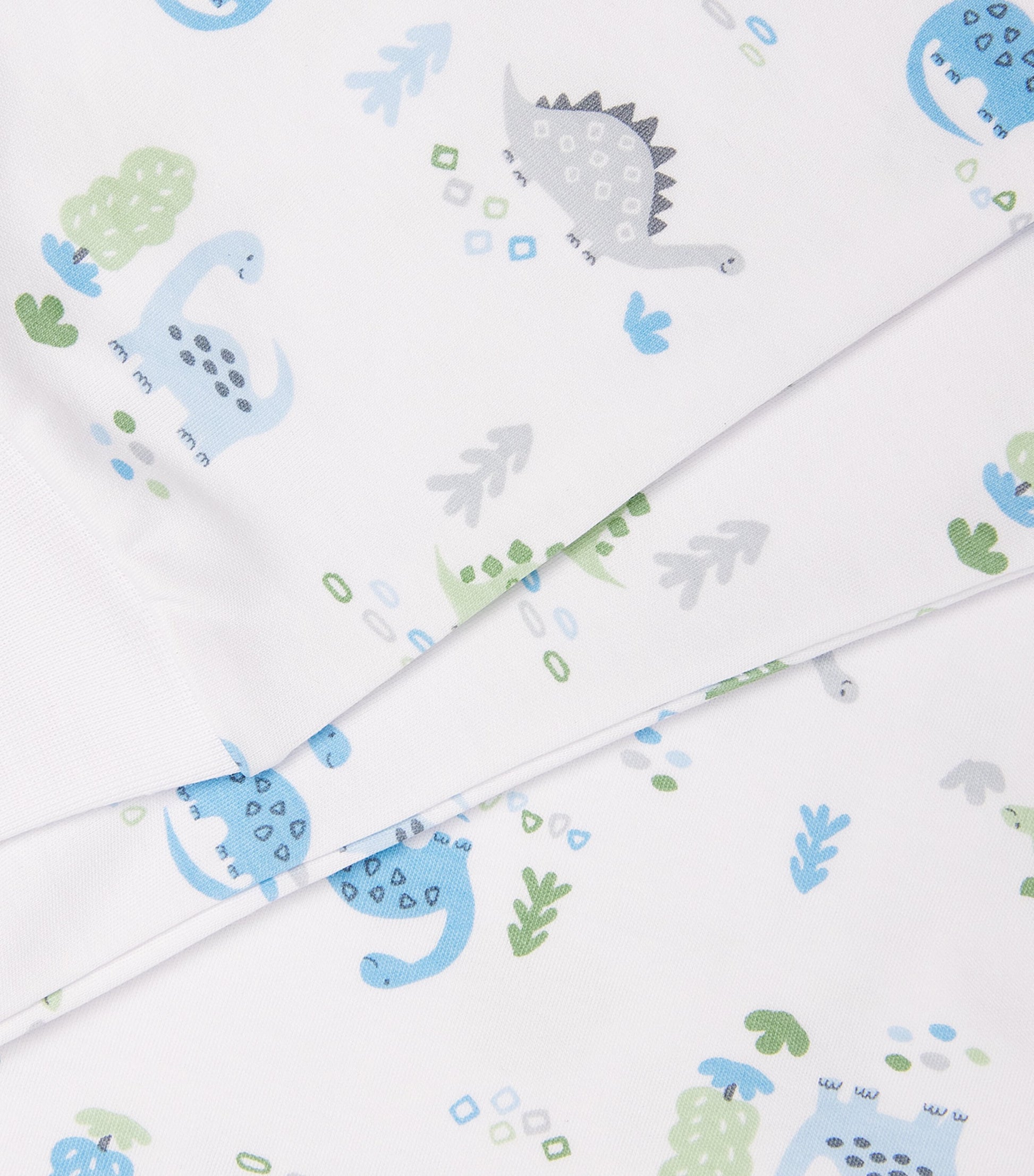 Pima Cotton Dinosaur Era Pyjamas (2-6 Years)