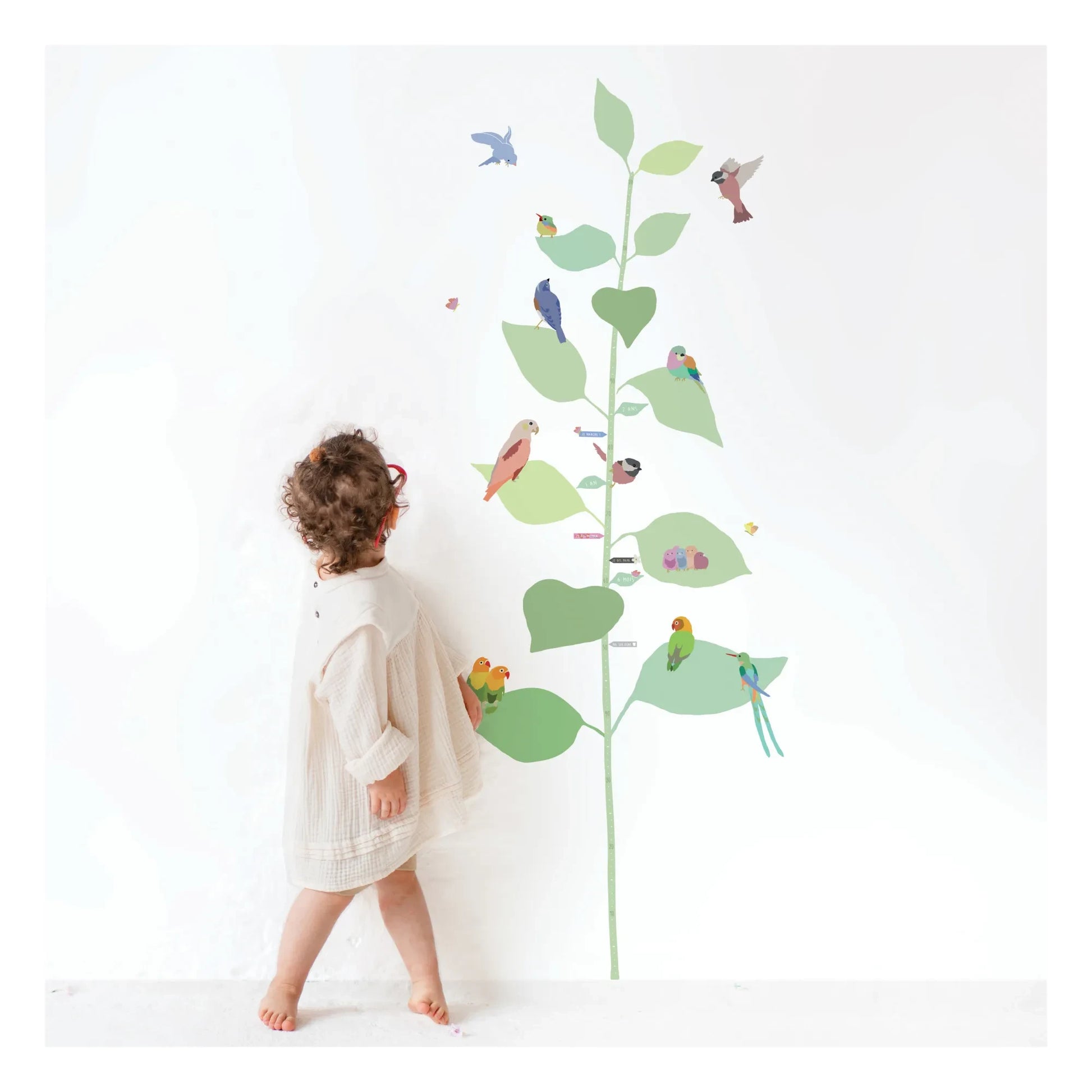 MIMI'lou - With The Birds Height Growth Chart - FR