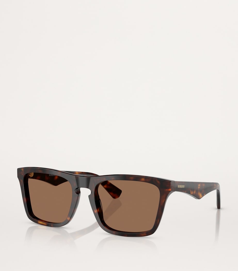 Acetate Wayfarer Sunglasses