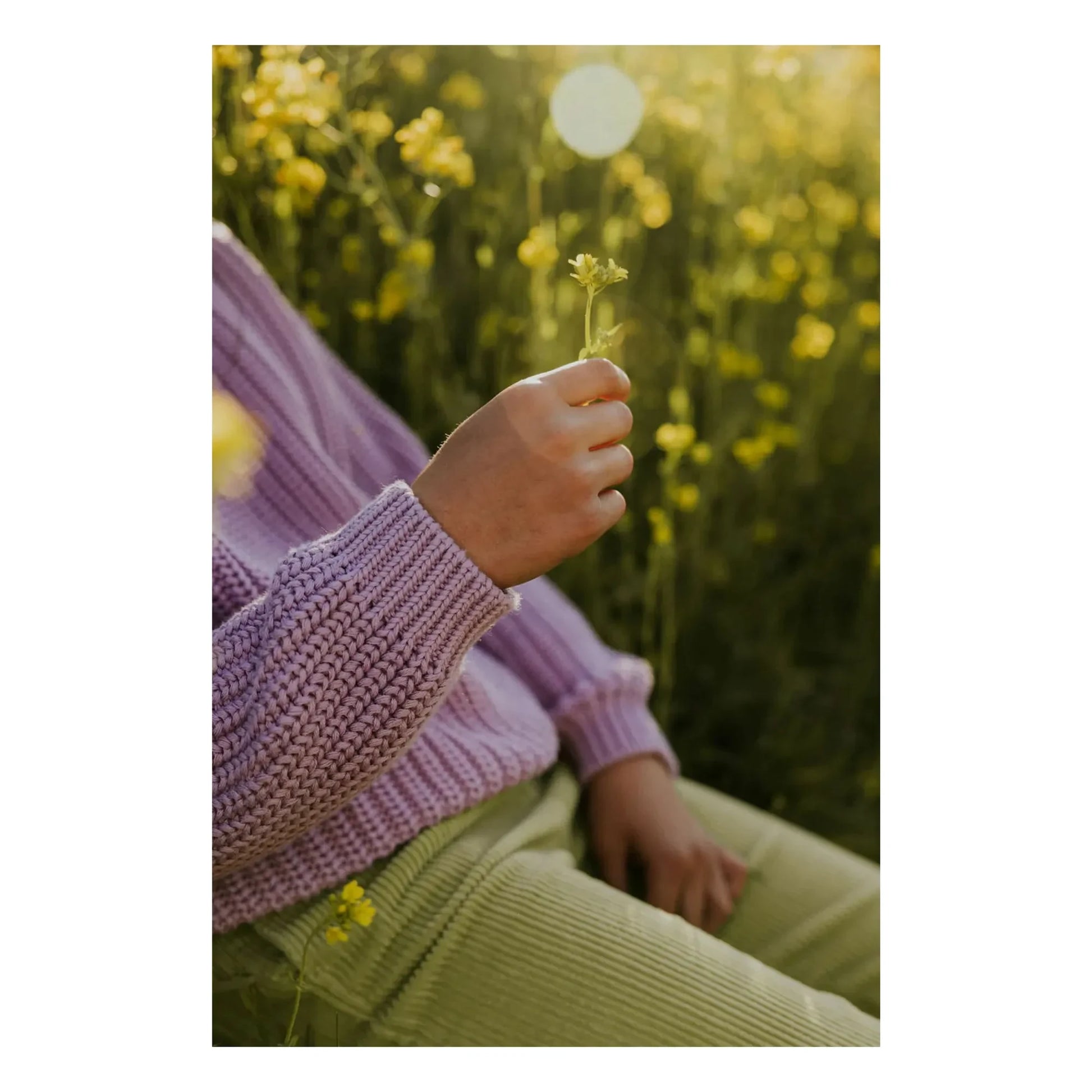 Yuki - Organic Cotton Chunky Sweater | Lavender