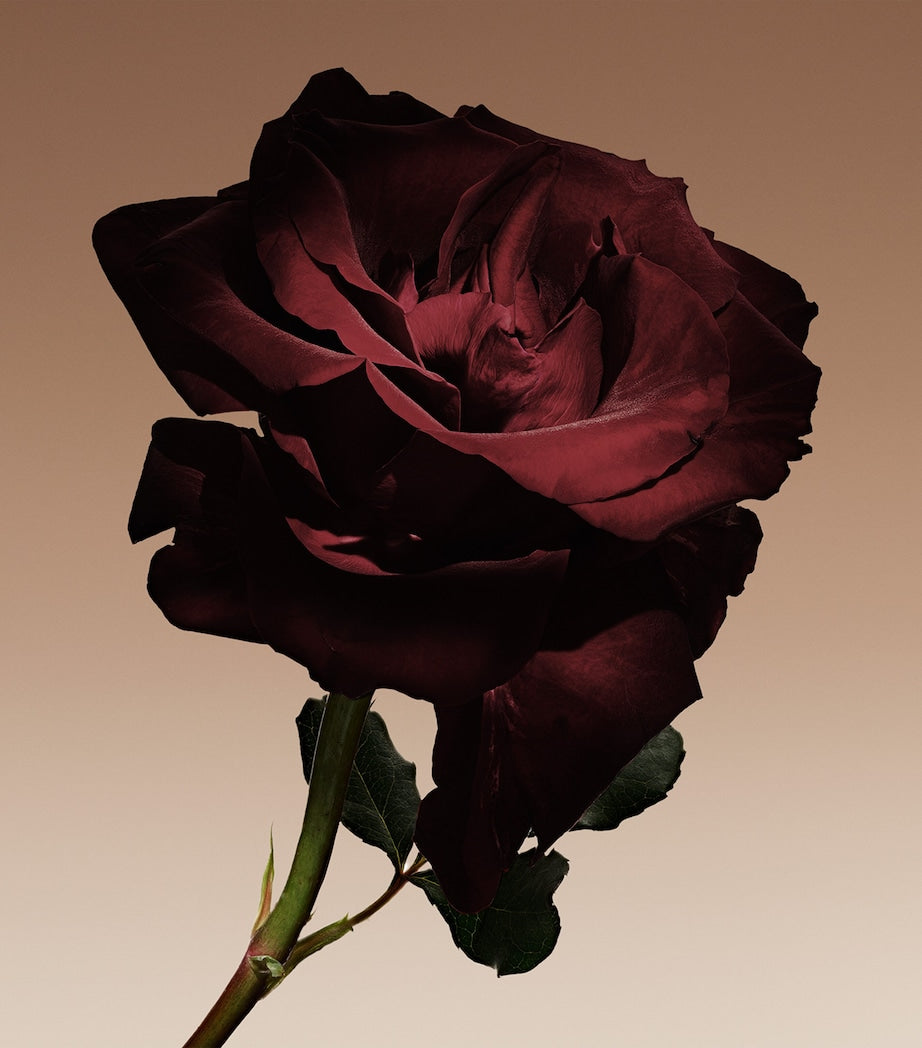 Cuir Nu Eau de Parfum Intense (100ml)