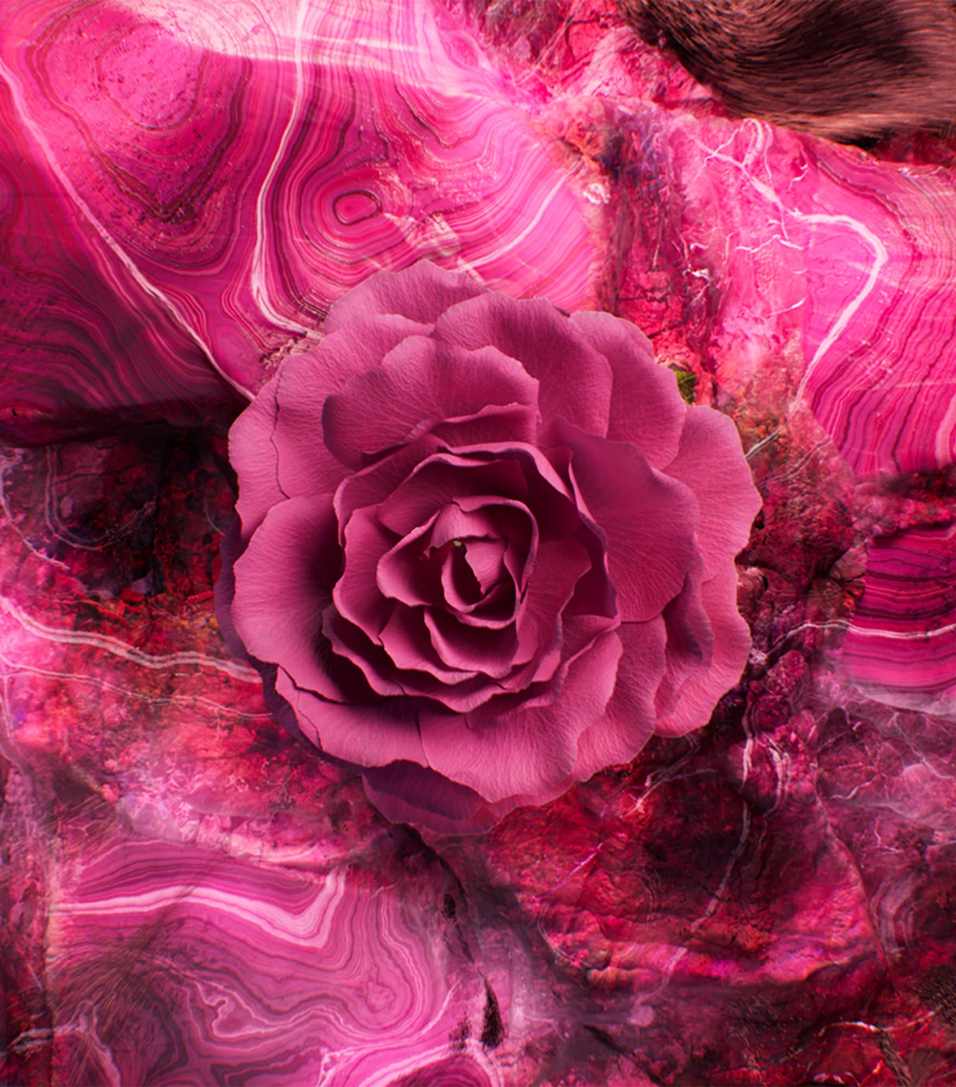 Le Gemme Sahare Eau de Parfum (60ml)